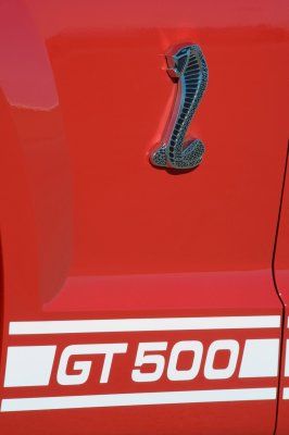 2007 shelby gt500 logo