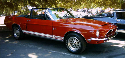 gt500kr mustang