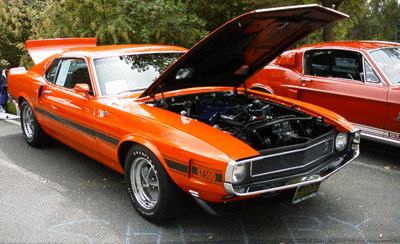 1969 shelby mustang fastback