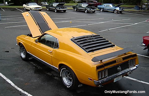 1970 mach 1 rocker trim