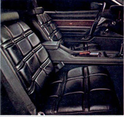 1976 ford mustang deluxe interior