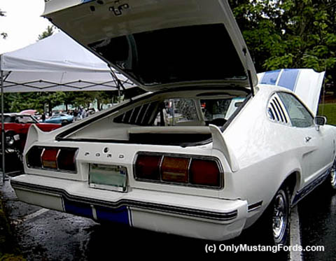 1977 ford mustang cobra tail lights