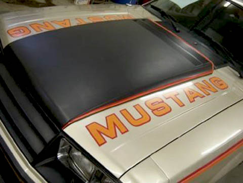 1979 pace car hood mustang