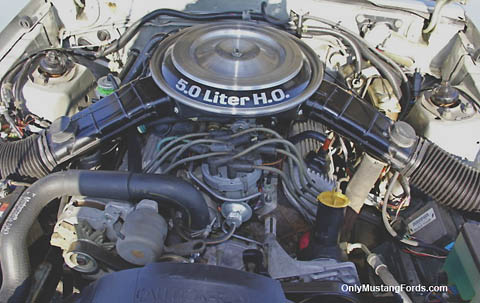 1982 5.0 mustang engine