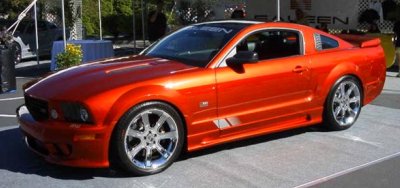 2006  Saleen Mustang 