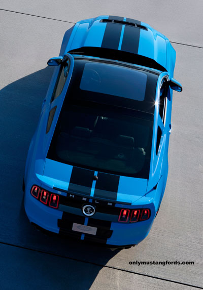 Shelby gt500 Mustang 