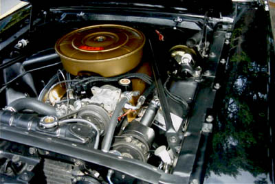 1965 mustang hipo engine