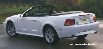 White Svt Cobra