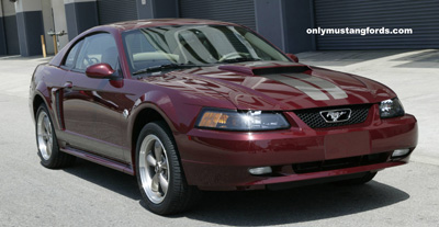 Alabama Mustang Clubs - 2004 Mustang GT