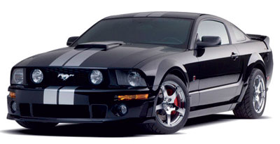 Saleen Mustang - White Stripes