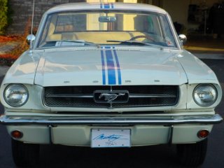 1964 1/2 mustang pace car