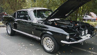 67 Shelby Mustang GT 500 images