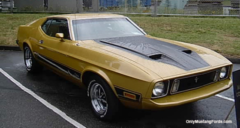 1973 mustang mach 1 fastback