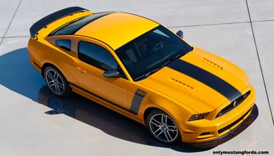 2013 Boss 302 side stripes