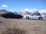 Nevada Fox Bodies Mustang Club